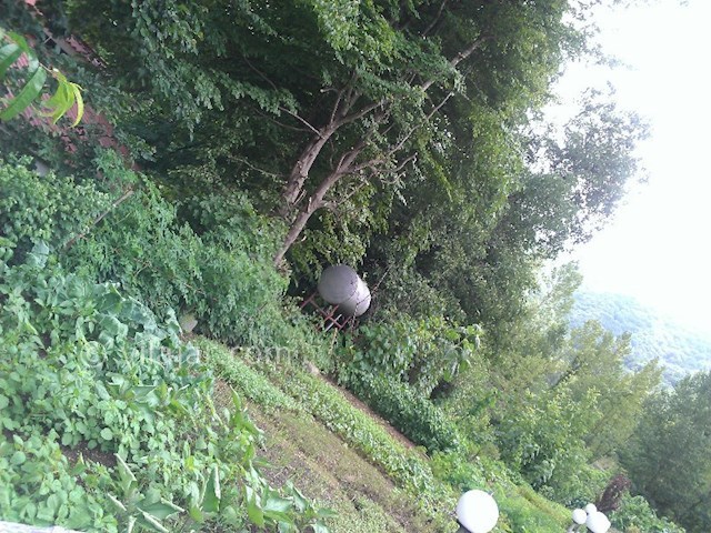 عکس شماره 130013 - اجاره ویلا جنگلی تراس دار کلاردشت - 