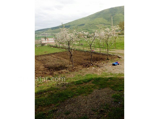 عکس شماره 131247 - اجاره ویلا در کلاردشت - 