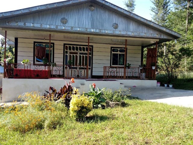 عکس شماره 135313 - اجاره ویلا در ماسال - 