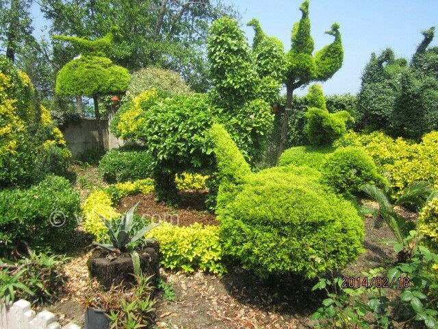 عکس شماره 138913 - اجاره ویلای چسبیده به دریا در رامسر - 