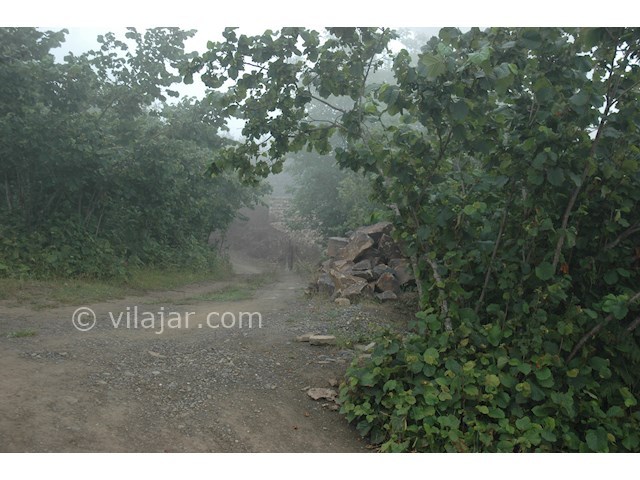 عکس شماره 139623 - کلبه چوبی در جنگل ابر جواهرده - 