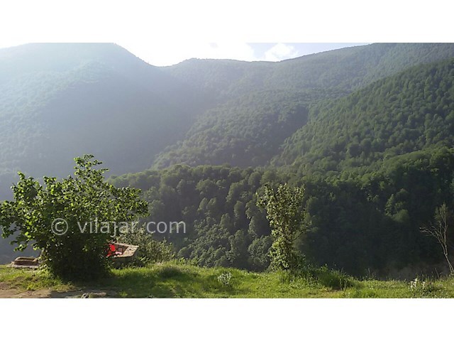 عکس شماره 139637 - کلبه چوبی در جنگل ابر جواهرده - 