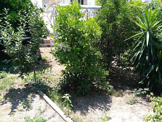 عکس شماره 139913 - اجاره ویلا باغ در زیباکنار - 