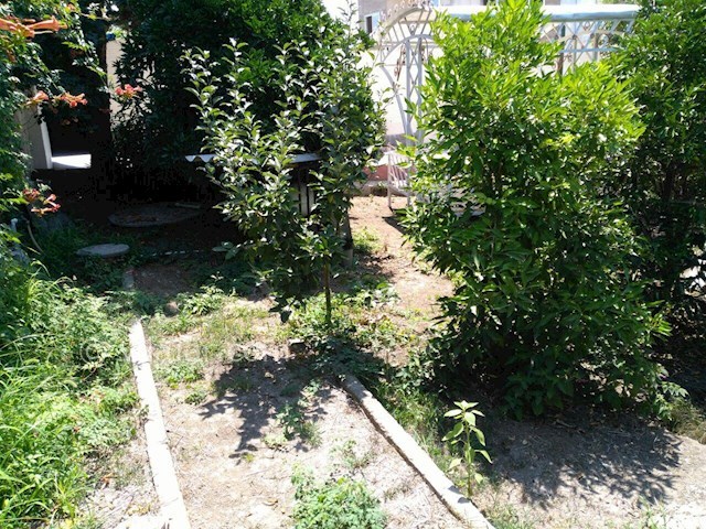 عکس شماره 139919 - اجاره ویلا باغ در زیباکنار - 