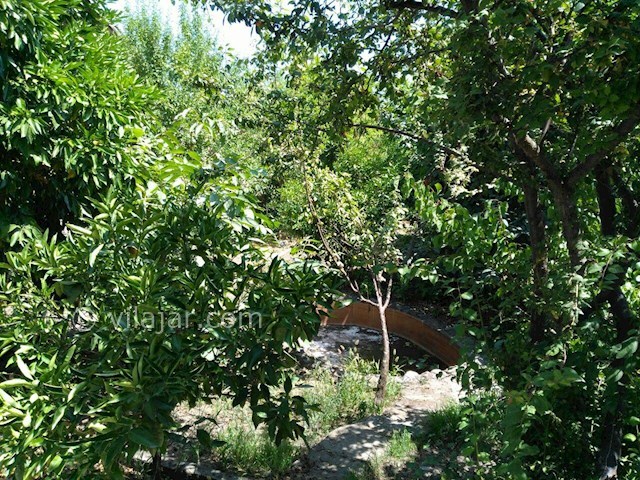 عکس شماره 139925 - اجاره ویلا باغ در زیباکنار - 
