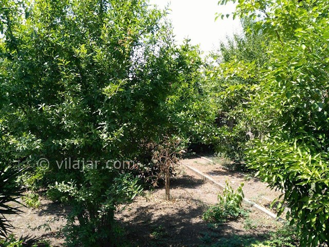 عکس شماره 139931 - اجاره ویلا باغ در زیباکنار - 