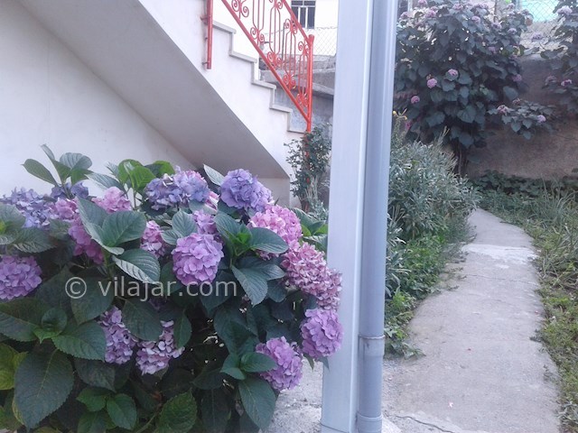 عکس شماره 143623 - ویلای جنگلی گردنه حیران - 