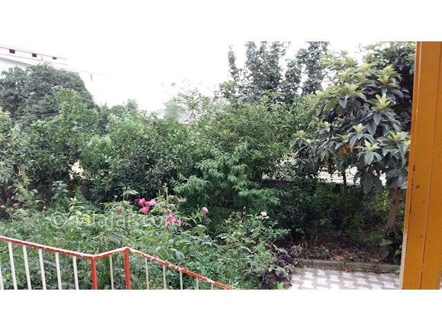 عکس شماره 144395 - اجاره سوئیت جنگلی در تالش - 