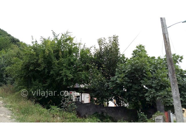 عکس شماره 144413 - اجاره سوئیت جنگلی در تالش - 