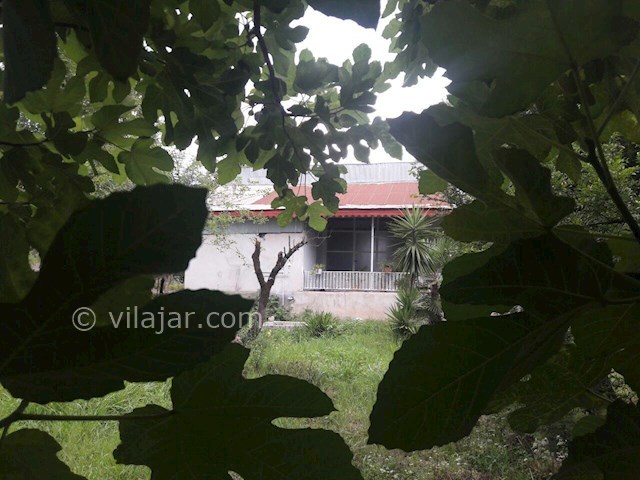 عکس شماره 145321 - اجاره ویلا در ماسال - 