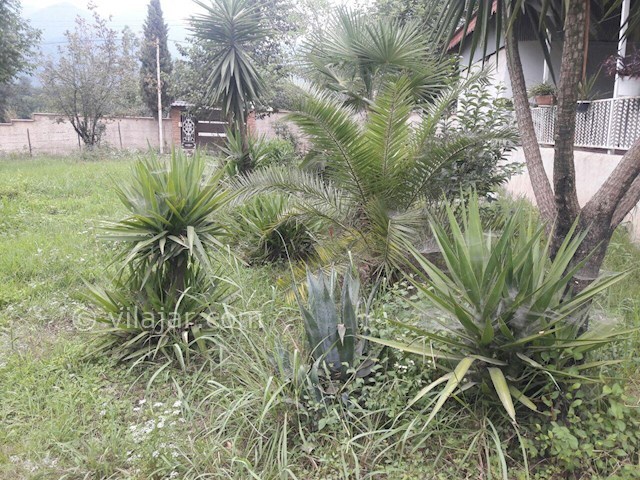 عکس شماره 145323 - اجاره ویلا در ماسال - 