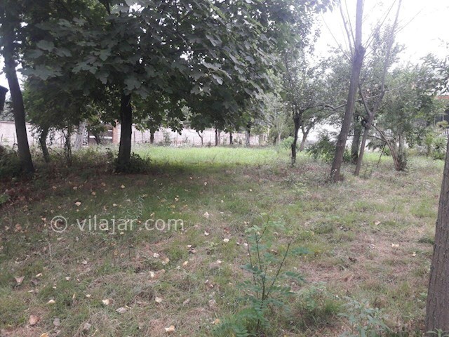 عکس شماره 145333 - اجاره ویلا در ماسال - 