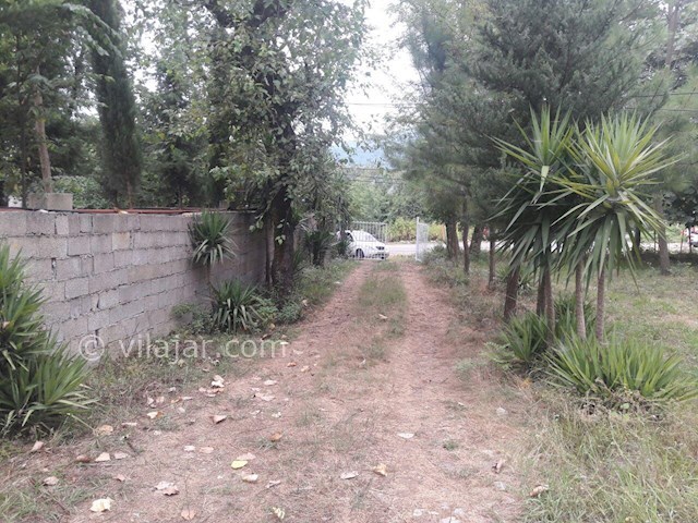 عکس شماره 145345 - اجاره ویلا در ماسال - 