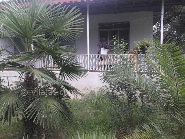 عکس شماره 145347 - اجاره ویلا در ماسال - 