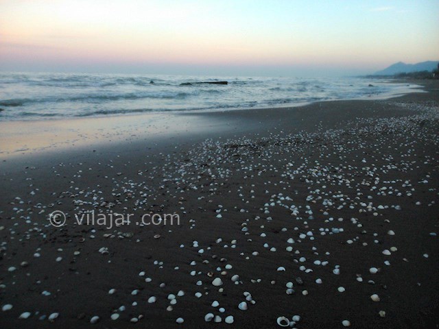 عکس شماره 145497 - اجاره ویلا در چابکسر - 