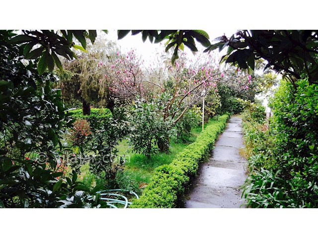 عکس شماره 147609 - اجاره ویلا ساحلی در رامسر - 