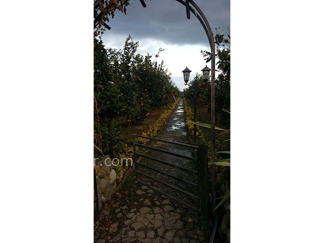 عکس شماره 148705 - اجاره ویلا در تنکابن - 