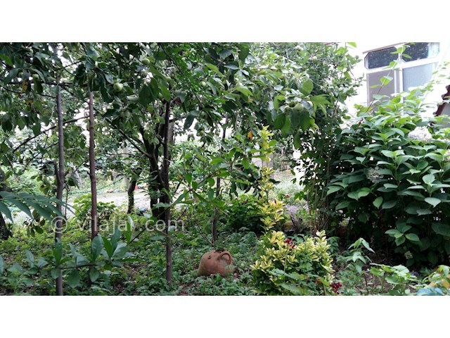 عکس شماره 149619 - ویلا نزدیک ساحل قروق تالش - 