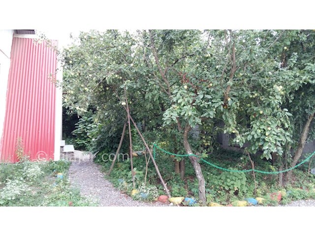 عکس شماره 149633 - ویلا نزدیک ساحل قروق تالش - 