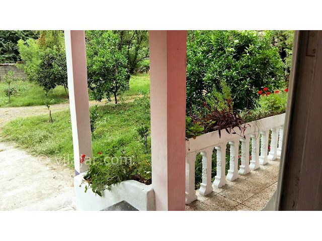 عکس شماره 150231 - اجاره ویلای جنگلی در تالش - 