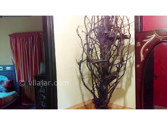 عکس شماره 150259 - ویلا در شهرک خزرشهر شمالی - 