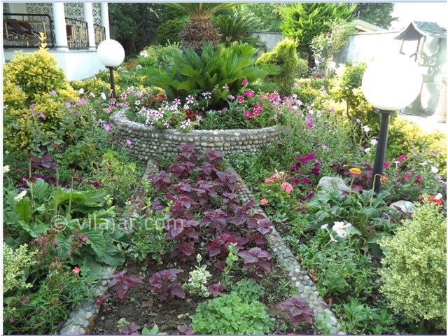 عکس شماره 15031 - اجاره ویلا چسبیده به دریا در رامسر - 