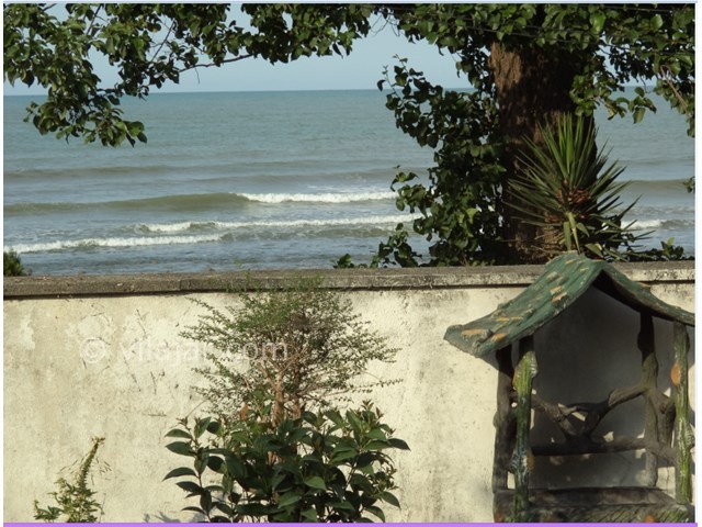 عکس شماره 15033 - اجاره ویلا چسبیده به دریا در رامسر - 