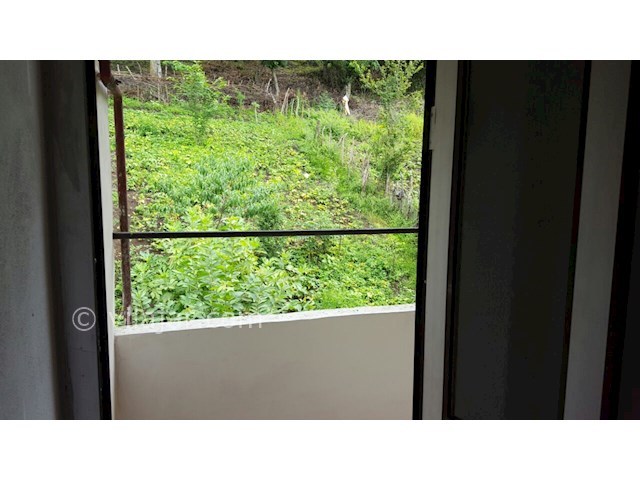 عکس شماره 150493 - اجاره سوئیت جنگلی تالش - 