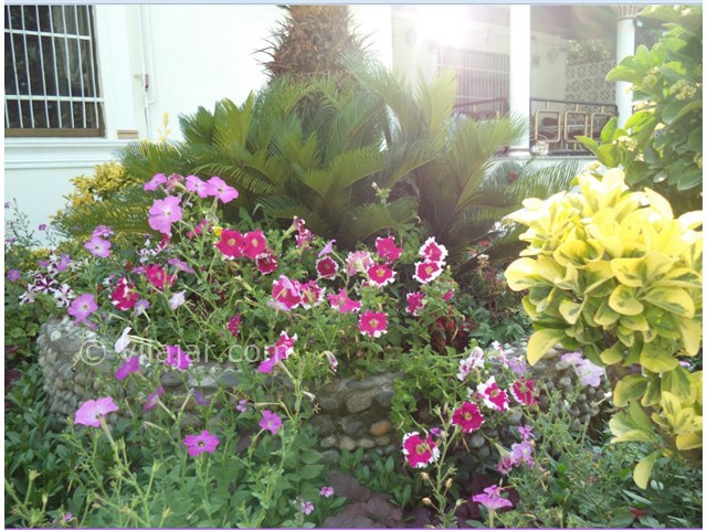 عکس شماره 15057 - اجاره ویلا چسبیده به دریا در رامسر - 