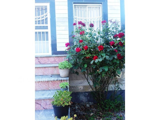 عکس شماره 150987 - اجاره ویلا در ساری -