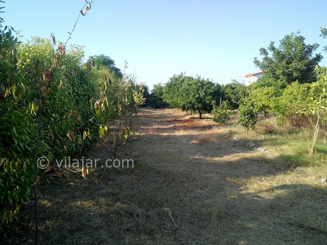 عکس شماره 153723 - اجاره ویلا نزدیک رامسر - 