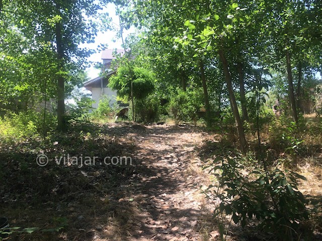 عکس شماره 155401 - ویلا اجاره ای در چمخاله - 