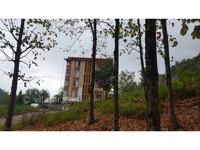 عکس شماره 155771 - اجاره سوئیت جنگلی در تالش - 