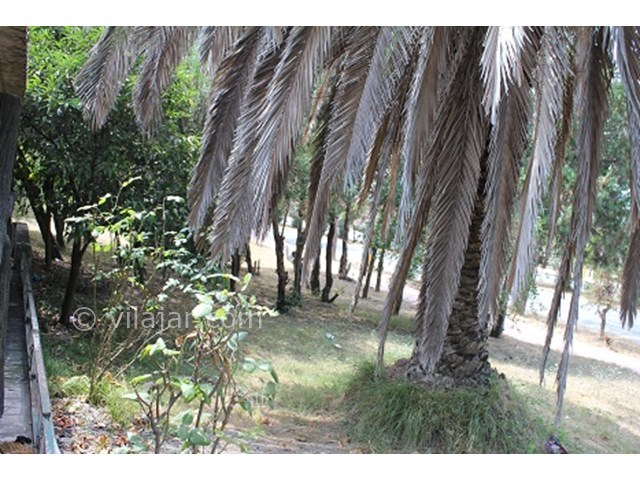 عکس شماره 15583 - اجاره ویلا دربست دریاکنار - 