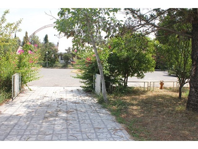 عکس شماره 15597 - اجاره ویلا دربست دریاکنار - 