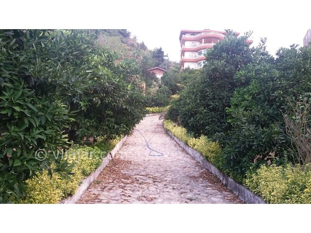 عکس شماره 156295 - ویلای لوکس با استخر و جکوزی - 