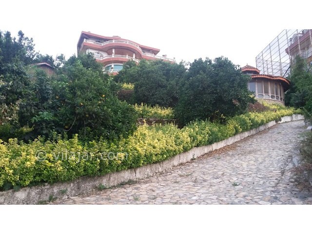 عکس شماره 156301 - ویلای لوکس با استخر و جکوزی - 