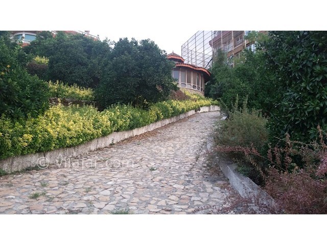 عکس شماره 156303 - ویلای لوکس با استخر و جکوزی - 