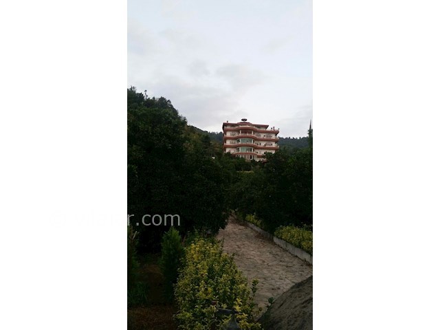 عکس شماره 156365 - ویلای لوکس با استخر و جکوزی - 