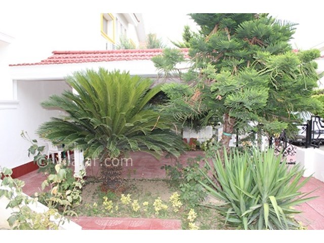 عکس شماره 15743 - اجاره ویلا در شمال دریاکنار - 