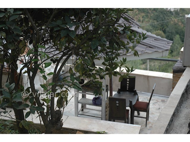 عکس شماره 157967 - ویلا جنگلی بااستخر و سونا - 