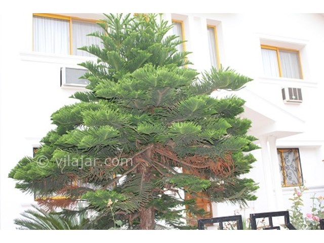 عکس شماره 15805 - اجاره ویلا دریاکنار ساحلی - 