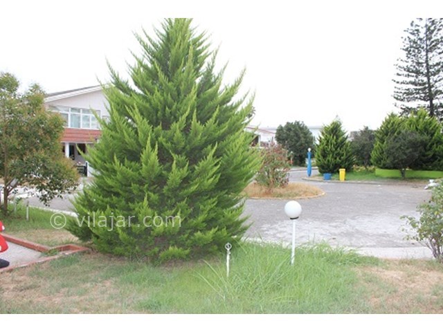 عکس شماره 15817 - اجاره ویلا دریاکنار ساحلی - 