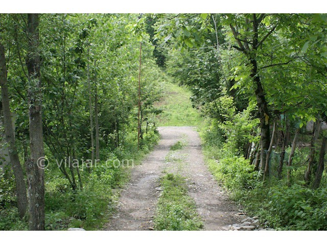 عکس شماره 158693 - ویلا باغ جنگلی در ماسال تاسکوه - 