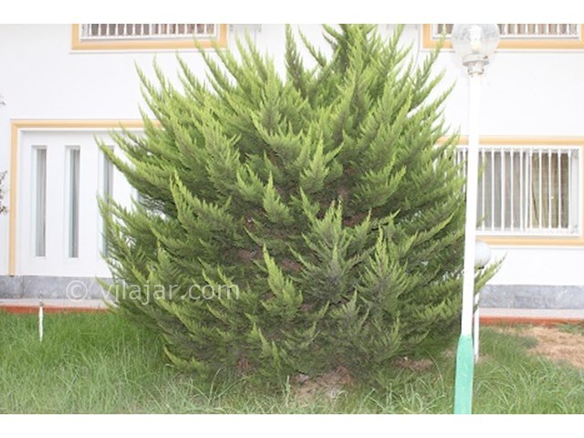 عکس شماره 15907 - اجاره ویلا دریاکنار ساحلی - 