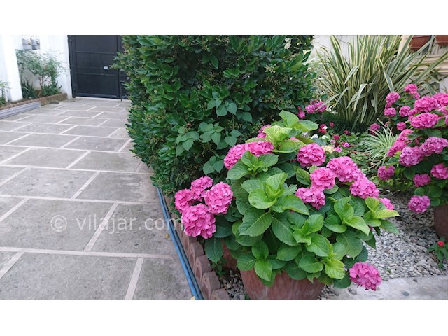 عکس شماره 159597 - اجاره واحد مبله در امام رود -