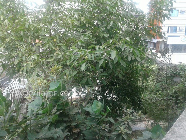 عکس شماره 159783 - اجاره آپارتمان در رشت - 