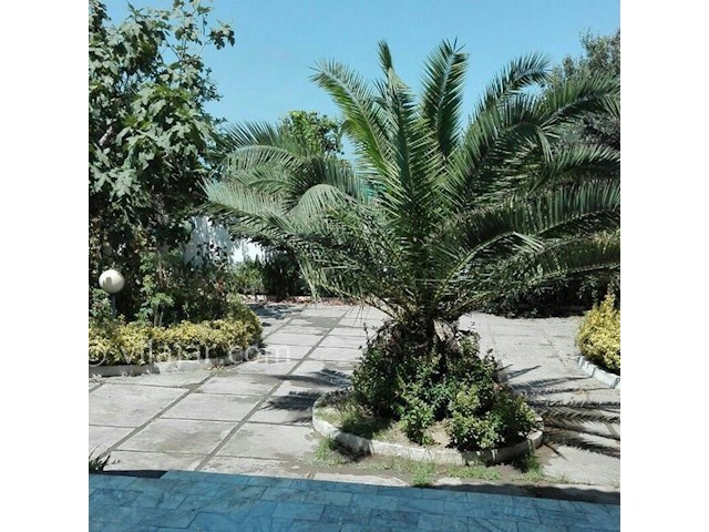عکس شماره 159843 - ویلا اجاره ای در محمودآباد - 