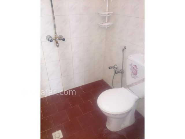 عکس شماره 159977 - اجاره ویلا در زیباکنار گیلان - 