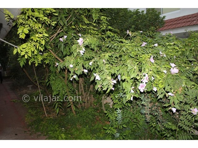 عکس شماره 15999 - اجاره ویلا دربست در دریاکنار - 